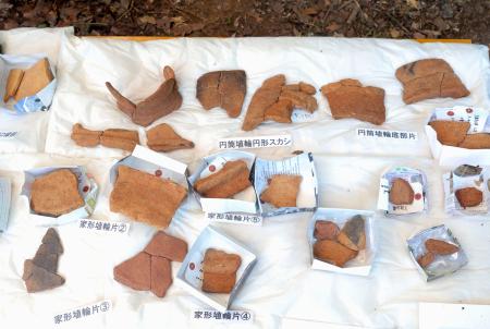 　大原古墳で出土した埴輪の破片＝１７日午前、大分県豊後高田市