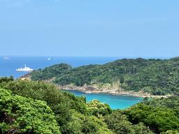 　静養先の須崎御用邸敷地内にある三井浜で、海水浴を楽しまれた天皇ご一家＝８月、静岡県下田市（宮内庁提供）