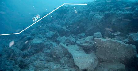 　研究チームが水中ドローンで撮影した石川県輪島市沖の海底。白線の部分に段差があった＝７月（富山大提供）
