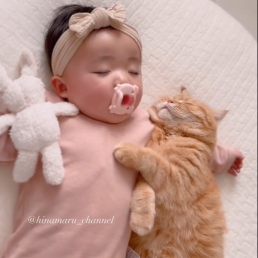 当時0歳のひなたんに腕枕される2歳の兄猫まるくん（Instagram／@hinamaru_channel）