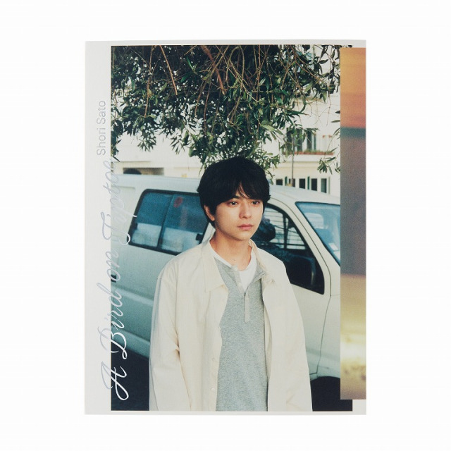 timelez・佐藤勝利1st写真集『A Bird on Tiptoe』（通常版）表紙