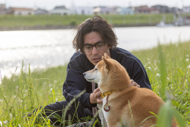 『シバのおきて～われら犬バカ編集部～』より（C）NHK