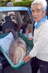 クエを見せる山内省二さん＝１４日、鹿児島市桜ケ丘６丁目