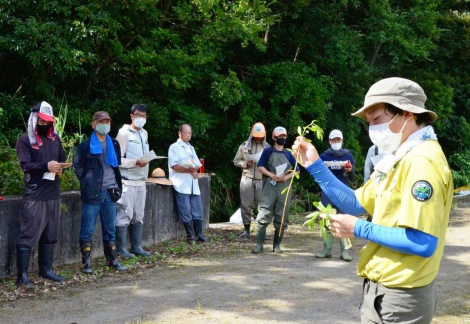 外来植物の駆除方法について住民に説明する環境省職員（右）＝龍郷町大勝