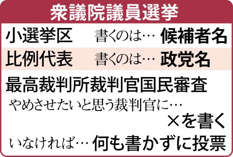 表・衆院選の小選挙区と比例代表の投票の違い