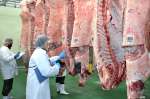 京都市中央食肉市場で鹿児島産和牛の枝肉をチェックする仕入れ業者＝２０２１年１１月