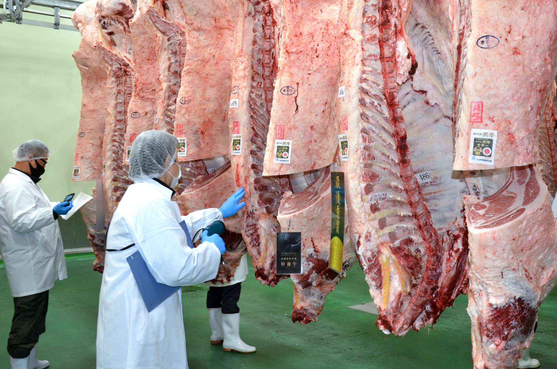 京都市中央食肉市場で鹿児島産和牛の枝肉をチェックする仕入れ業者＝２０２１年１１月