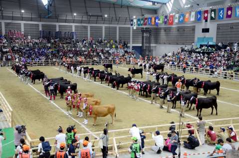 鹿児島県が総合優勝した第１１回全国和牛能力共進会＝２０１７年９月１１日、仙台市