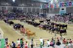 鹿児島県が総合優勝した第１１回全国和牛能力共進会＝２０１７年９月１１日、仙台市