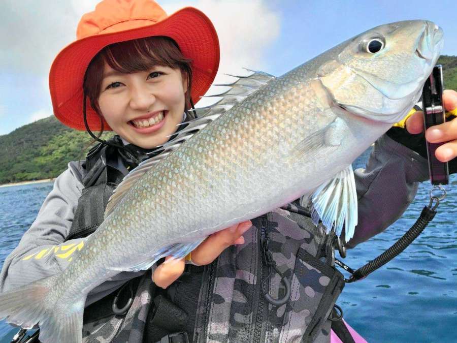 ライトジギングで釣ったアオチビキ＝７月中旬、宇検村の枝手久島沖