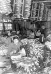 鹿児島市新屋敷町の鹿児島市営授産場のうちわ作りの風景＝１９５５（昭和３０）年３月２６日