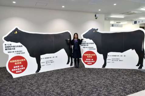 （別カット）全共で内閣総理大臣賞を獲得した「てるはな」（左）と「さき」の等身大パネル＝１３日、霧島市国分中央３丁目のＪＡあいら本所