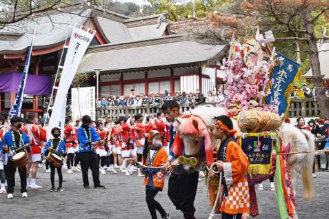 本殿前を練り歩く鈴かけ馬と踊り連＝１２日、霧島市隼人の鹿児島神宮