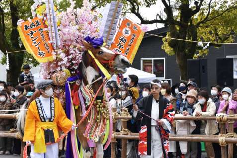（別カット）参道などを練り歩く鈴かけ馬と踊り連＝１２日、霧島市隼人の鹿児島神宮