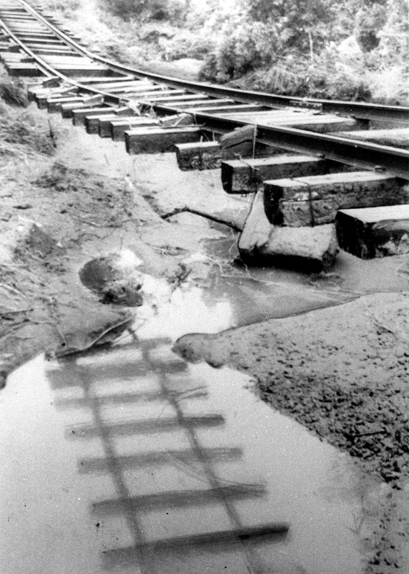 長さ約５０メートルにわたって宙づりになったレール＝１９８３（昭和５８）年６月２１日、加世田市内山田（現在の南さつま市）