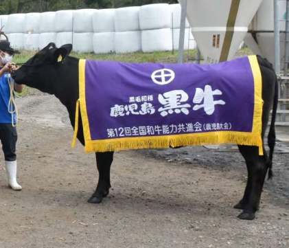 内閣総理大臣賞を受けたやすこ