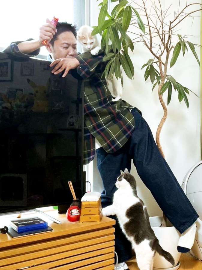 猫おじさんことサンシャイン池崎の最近の様子