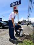 ビッグモーター鹿児島店前の街路樹や植え込みの状態を確認する県職員＝２７日、鹿児島市宇宿２丁目