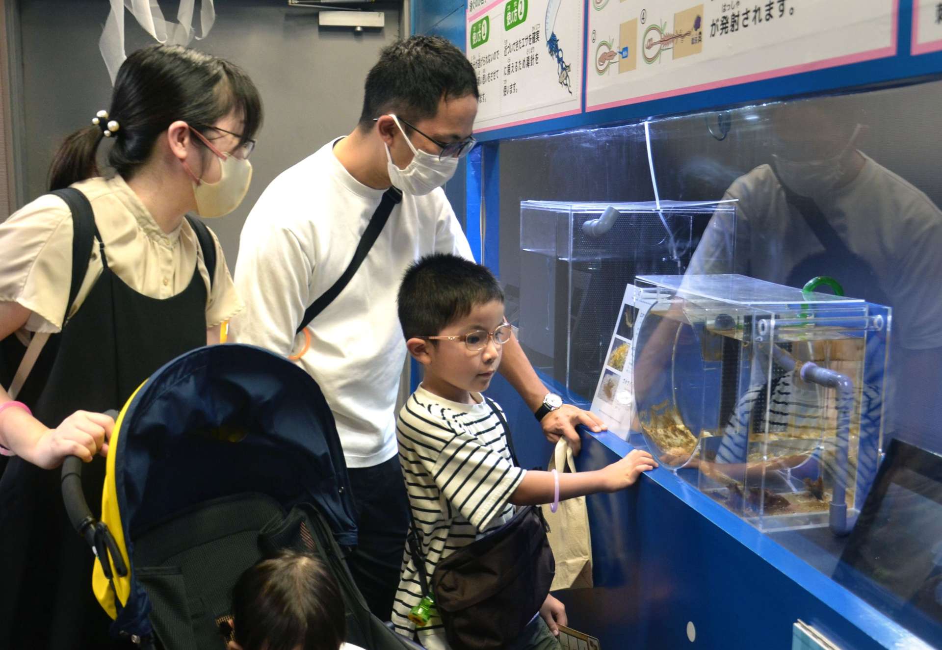 夜の水族館を楽しむ親子＝鹿児島市のかごしま水族館