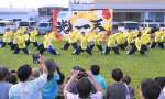 華やかな演舞を披露する公立千歳科学技術大学「光一天」のメンバー＝２７日、指宿市役所