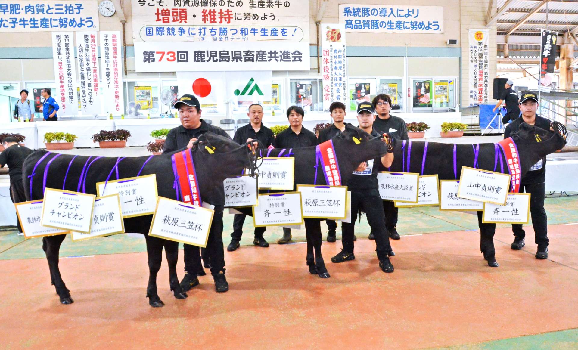 グランドチャンピオンに輝いた父系群区の３頭＝２８日、霧島市の姶良中央家畜市場