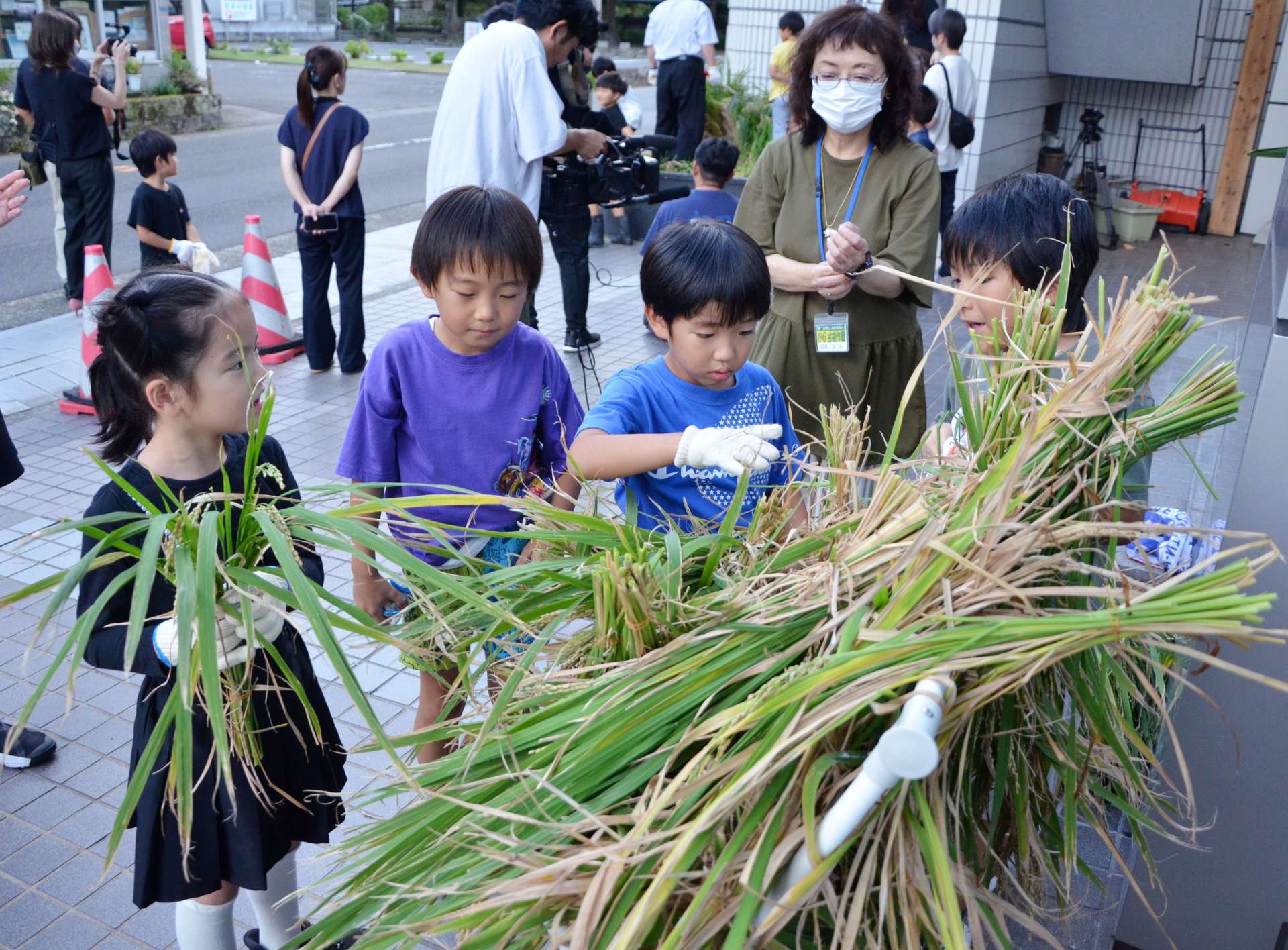 刈り取った稲の掛け干しを体験する児童＝５日、鹿児島市の受験ラサール加治屋
