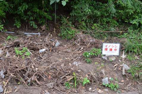 鹿児島市が設置した看板＝１５日、同市原良７丁目