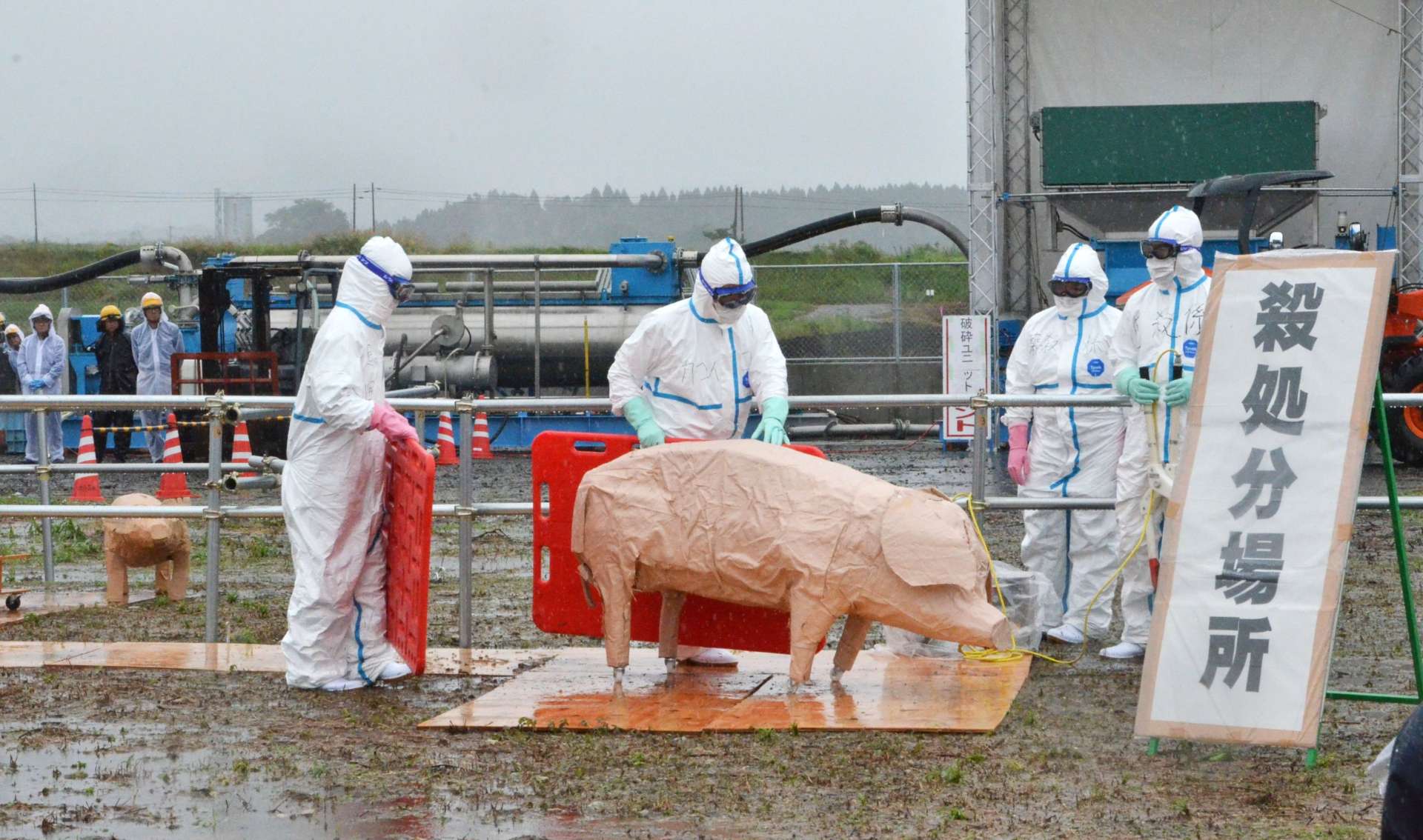豚の模型を使い、誘導や殺処分の方法を確認した防疫演習＝２２日、大崎町永吉