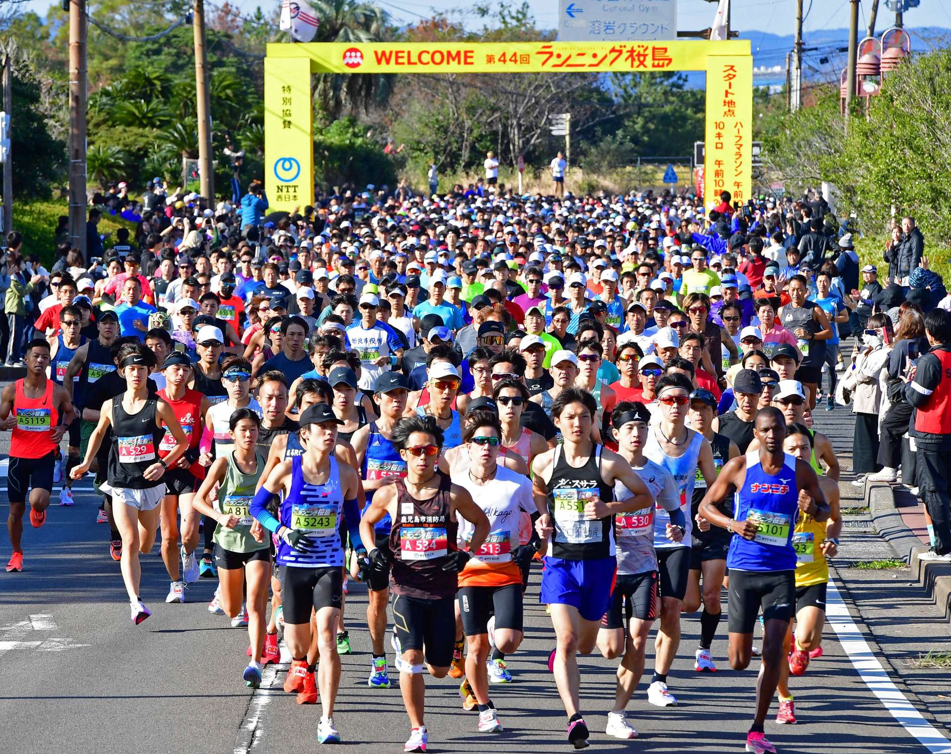 一斉にスタートするハーフマラソンの参加者＝１日、鹿児島市桜島横山町