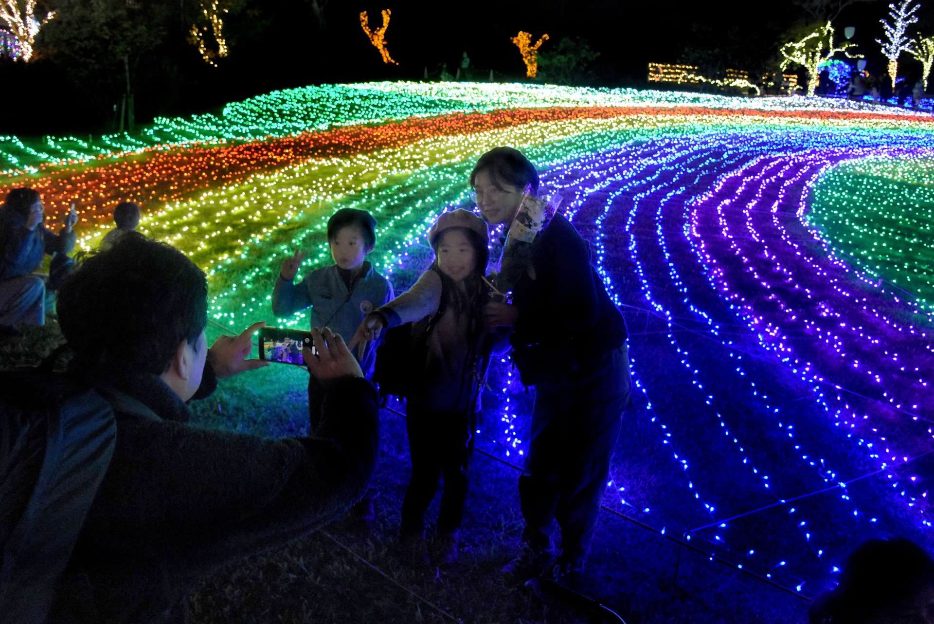 「虹」を表現した芝生広場のイルミネーション＝１１月３０日、指宿市のフラワーパークかごしま