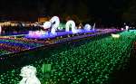 来年のえとの蛇が輝く園内＝伊佐市の曽木の滝公園