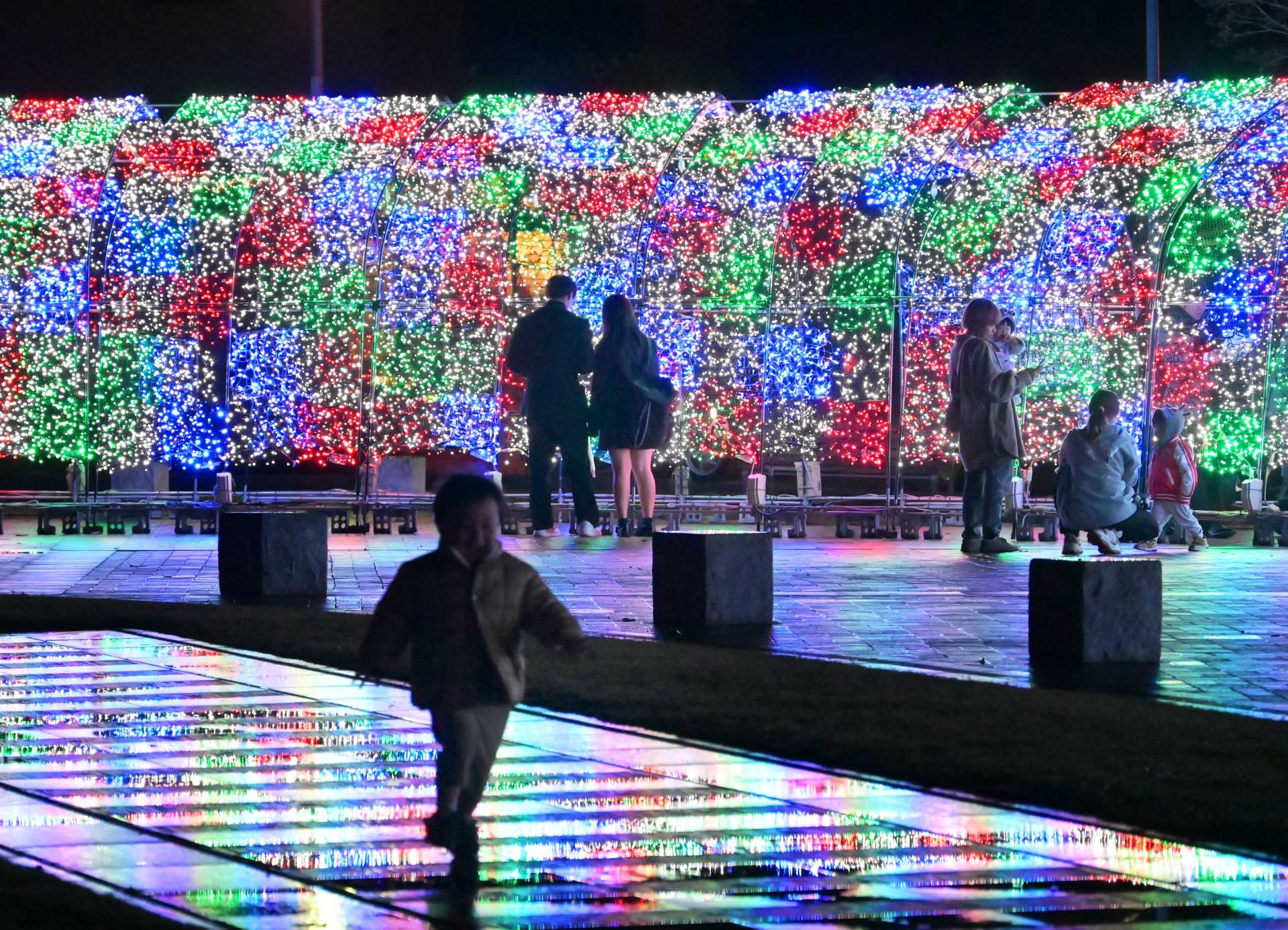 来園者の目を楽しませる色鮮やかなイルミネーション＝鹿児島市千日町