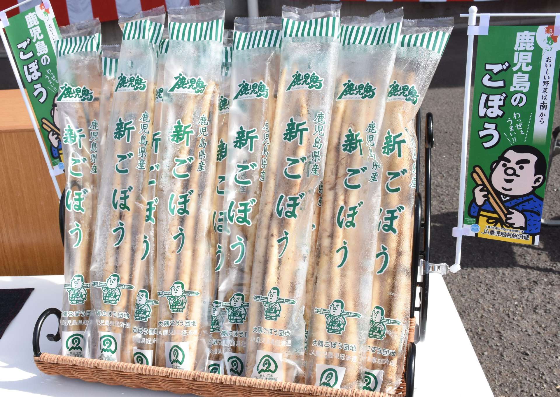 大隅ごぼう団地の新ゴボウ。みずみずしくて香りよくサラダにもおすすめ＝２０日、志布志市のＪＡ県経済連大隅野菜事業所