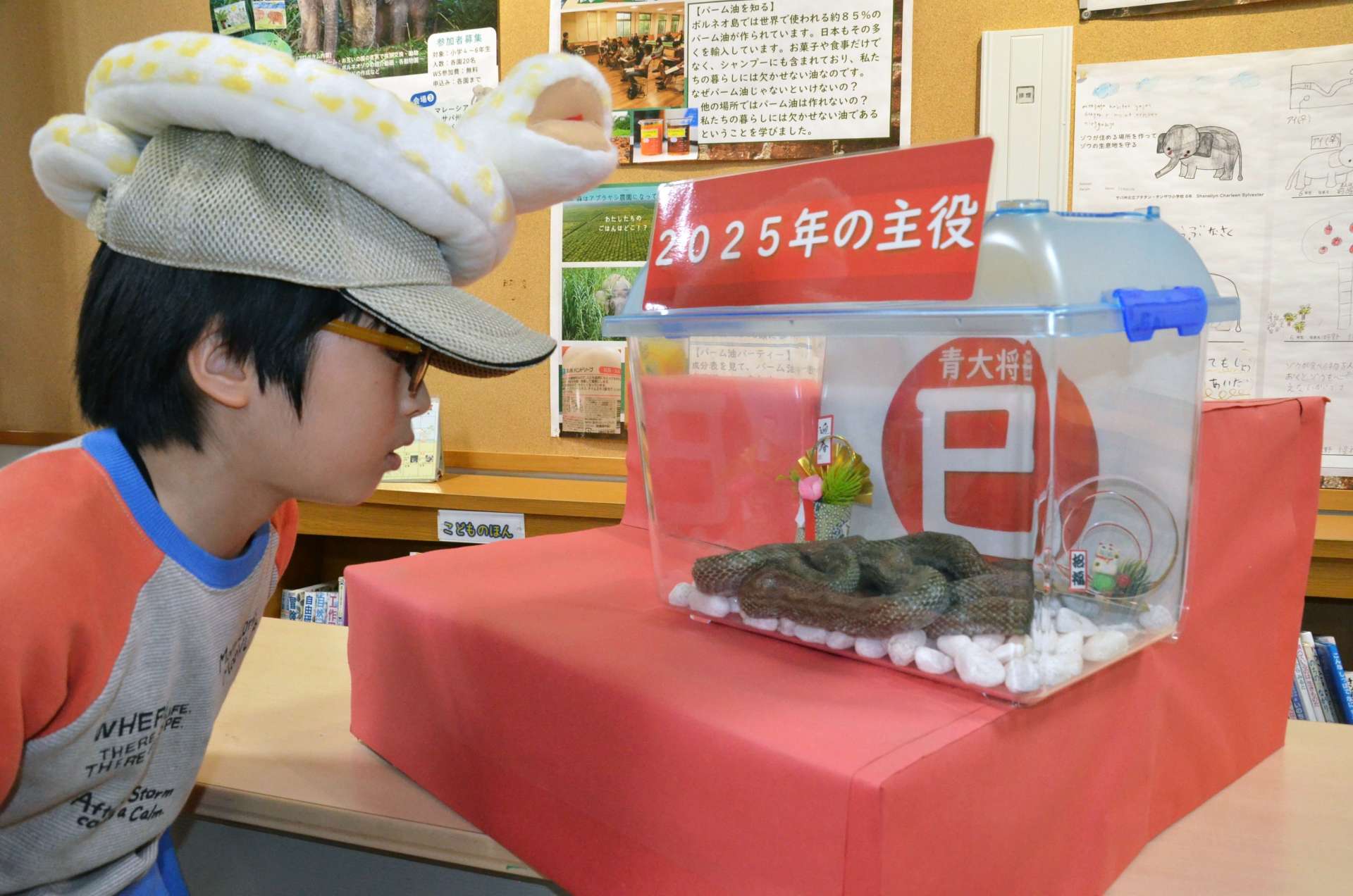 アオダイショウを間近で観察する小学生＝２８日、鹿児島市の平川動物公園