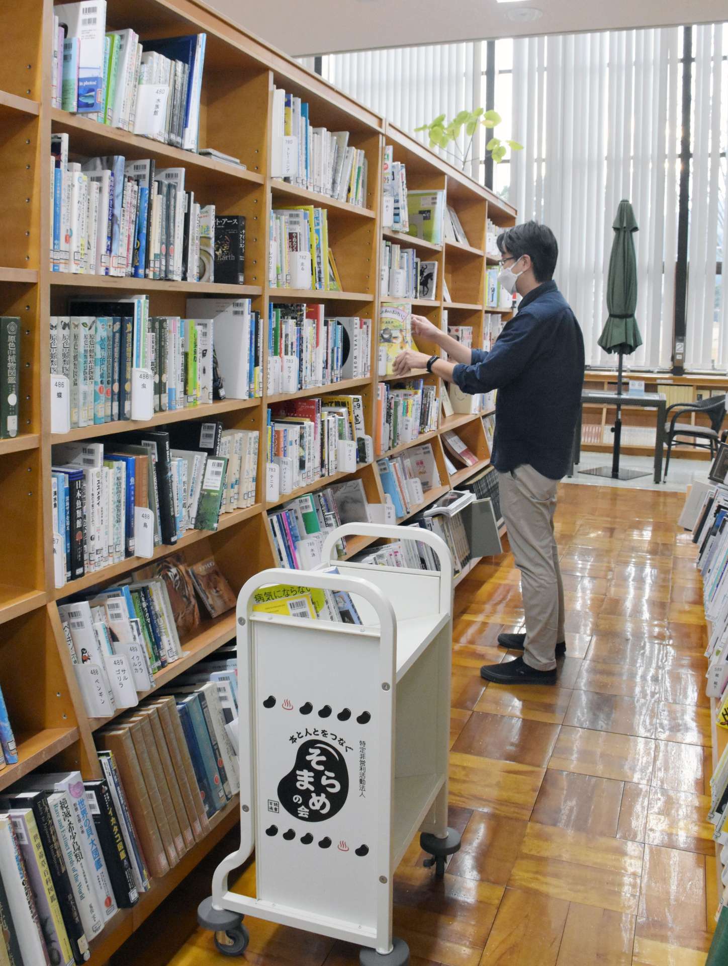人の少ないタイミングを見て、返却された本を書架に戻す職員＝指宿市の指宿図書館