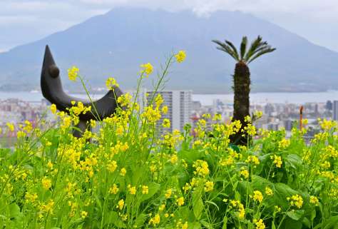 【ＷＥＢ　主な紙面】９日午後、鹿児島市の長島美術館（田中公人撮影）