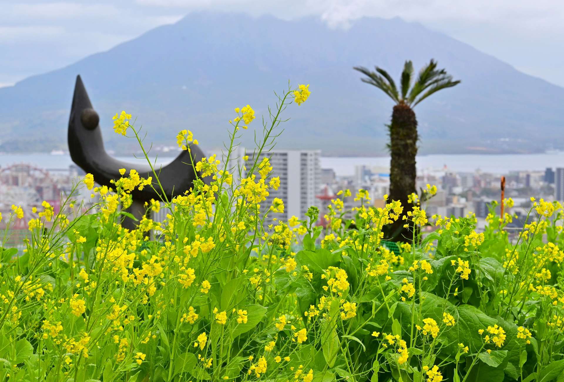 【ＷＥＢ　主な紙面】９日午後、鹿児島市の長島美術館（田中公人撮影）