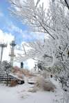 雪が積もり、銀世界が広がる紫尾山頂＝９日、さつま町（同町の許可を得て撮影）
