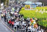 菜の花を眺めながら力走するランナー＝１２日、指宿市
