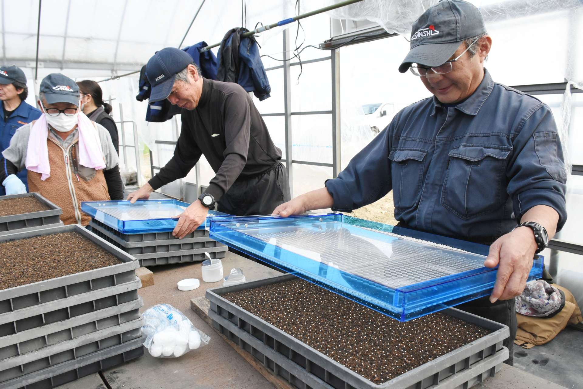 苗箱に種子をまく生産者＝出水市野田町下名