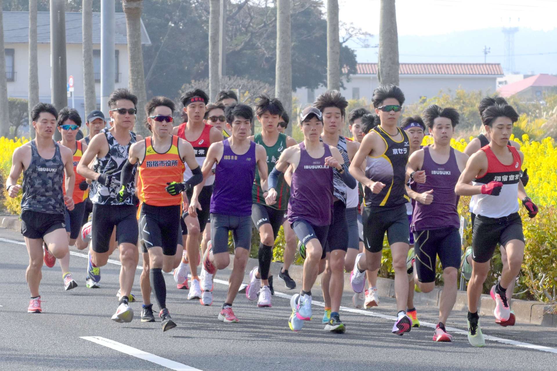 選考レースに臨む選手たち＝指宿市東方