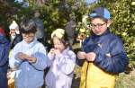 皮むきに苦戦しながらもサワーポメロを味わう子どもたち＝２６日、いちき串木野市の西果樹園