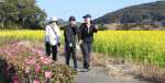 菜の花畑が広がるコースを歩く参加者＝指宿市開聞十町