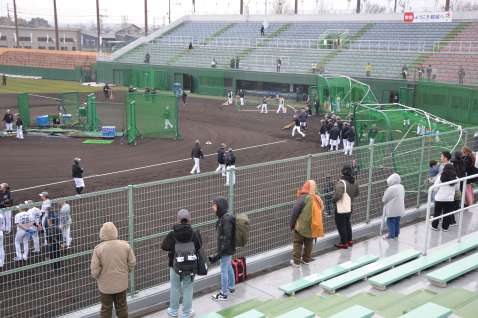 都城運動公園野球場でロッテ２軍キャンプを見学する市民ら＝１日、都城市妻ケ丘町