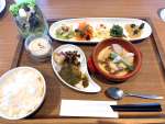 南国元気鶏と鯛王を使った北薩摩プレート