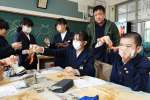 ナミクダヒゲエビを観察する児童＝垂水市の協和小学校