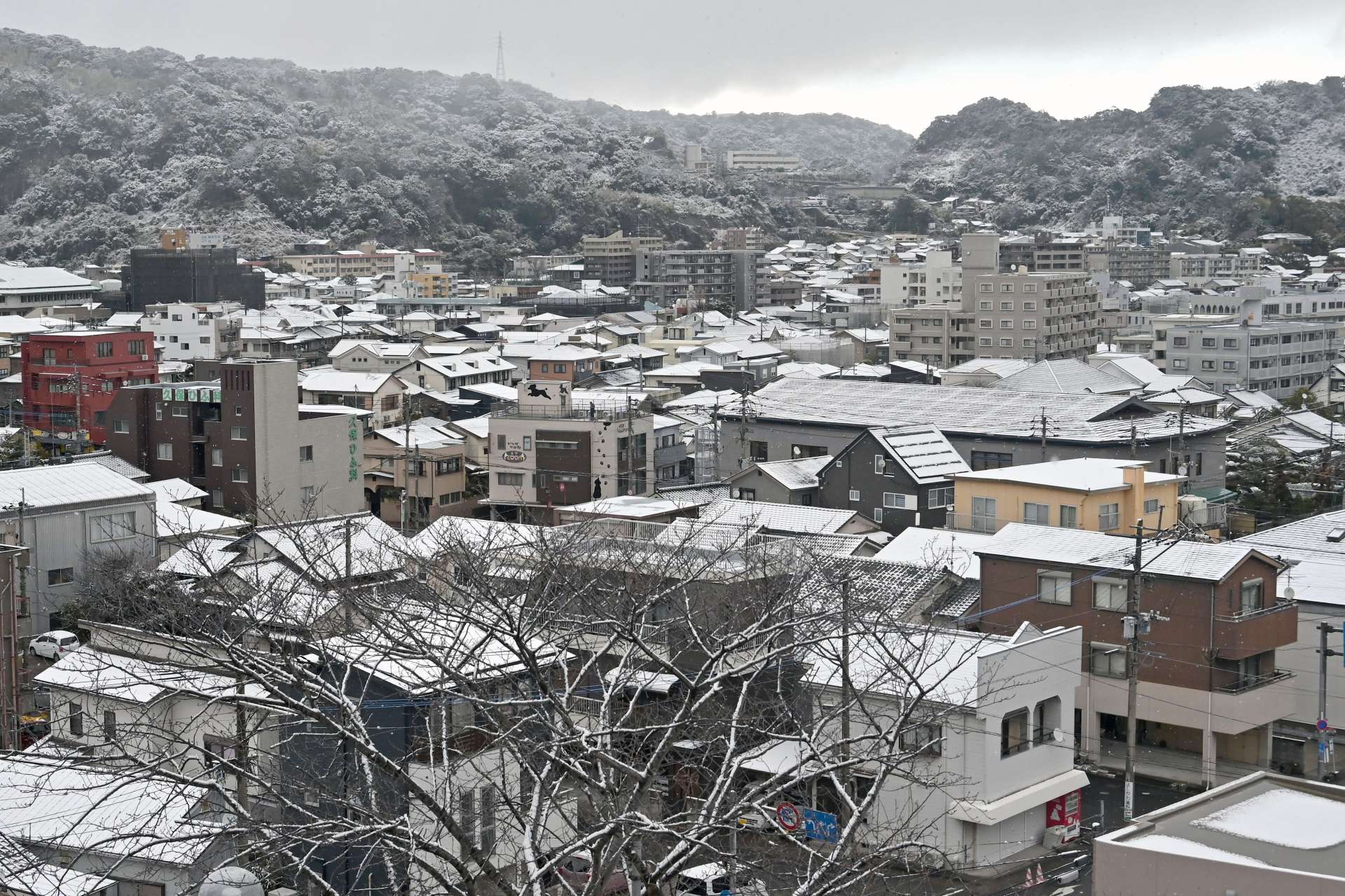 〈関連〉市街地まで降り積もった雪＝５日午前９時２３分、鹿児島市上竜尾町
