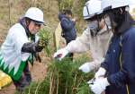 都城地区木青会員（左）から杉苗木に使う穂木採りを習う都城東高生＝都城市豊満町