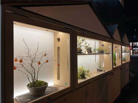 【屋外広告部門】「苔とも　苔だまディスプレイ」（鹿児島市提供）
