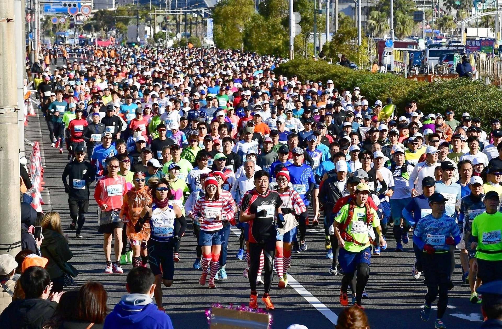 日差しを受け一斉にスタートするランナーたち＝２０２４年３月３日、鹿児島市南林寺町